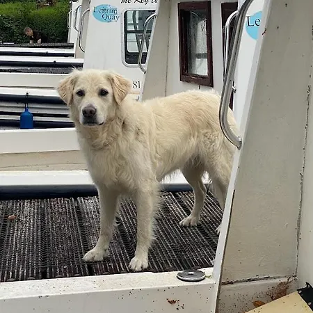 Leitrim Quay - Riverside 1 Holiday home *