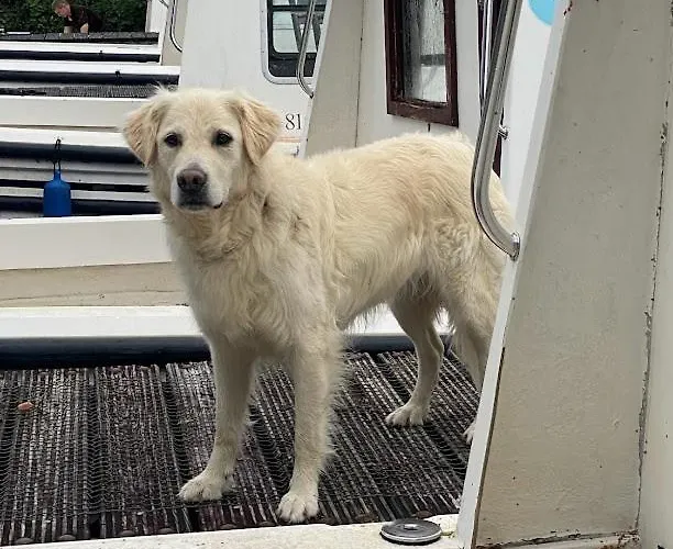 Leitrim Quay - Riverside 1 Feriehus *